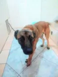 Duk