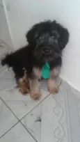 Charlie e Charlote