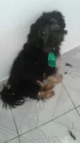 Charlie e Charlote
