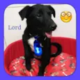 LORD