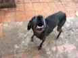 buster