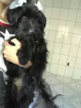 Charlie e Charlote