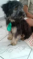Charlie e Charlote