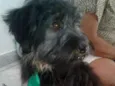 Charlie e Charlote