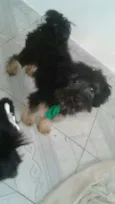 Charlie e Charlote