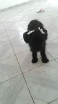 Charlie e Charlote