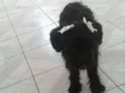 Charlie e Charlote