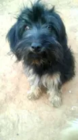 Charlie e Charlote