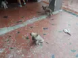 oscar