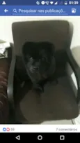 Nina