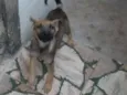 Não tem