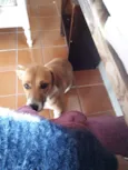 CATITA