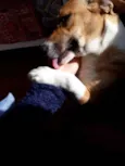 CATITA