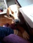 CATITA