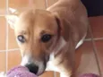 CATITA