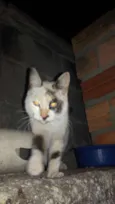 Lindinha