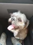 Zig