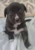 LILI