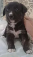 LILI