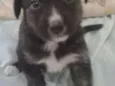 LILI