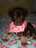 Kika