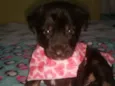 Kika