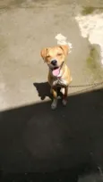 Pac