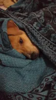 Pac