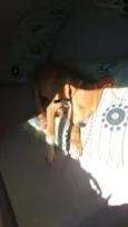 Pac