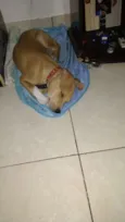 Pac
