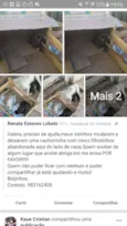 Nao tem nome