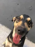Zeus