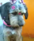 Penélope