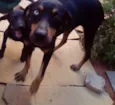 Kate e Piri