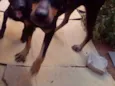 Kate e Piri