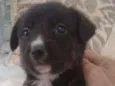 LILI