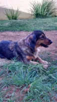Bina