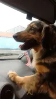 Bina