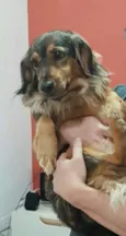 Bina