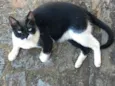 Minu Minu