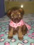 Cristal ..bb