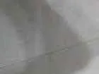 Cachorro raça SRD idade 3 anos nome Paola