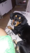 Bhetovem