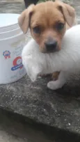 Não tem