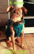 Boby