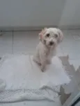 Sem identificação