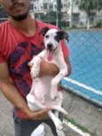 Não demos nome