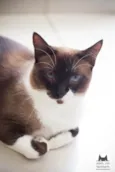 Mia