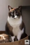 Mia