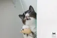Mia